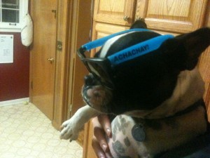 IMG_1876 IMG_1876