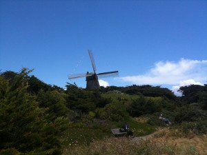IMG_2349 IMG_2349